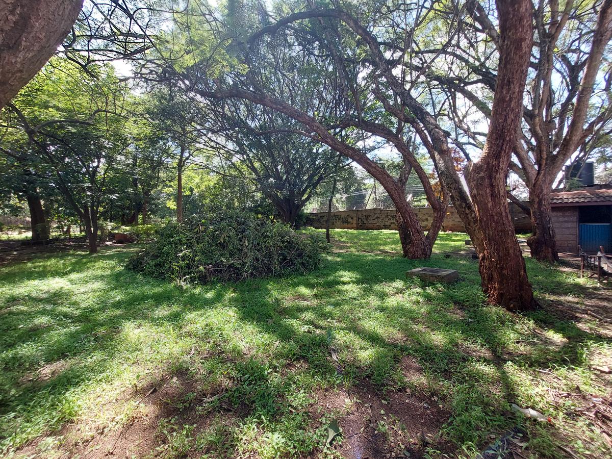 Residential Land at James Gichuru - 11