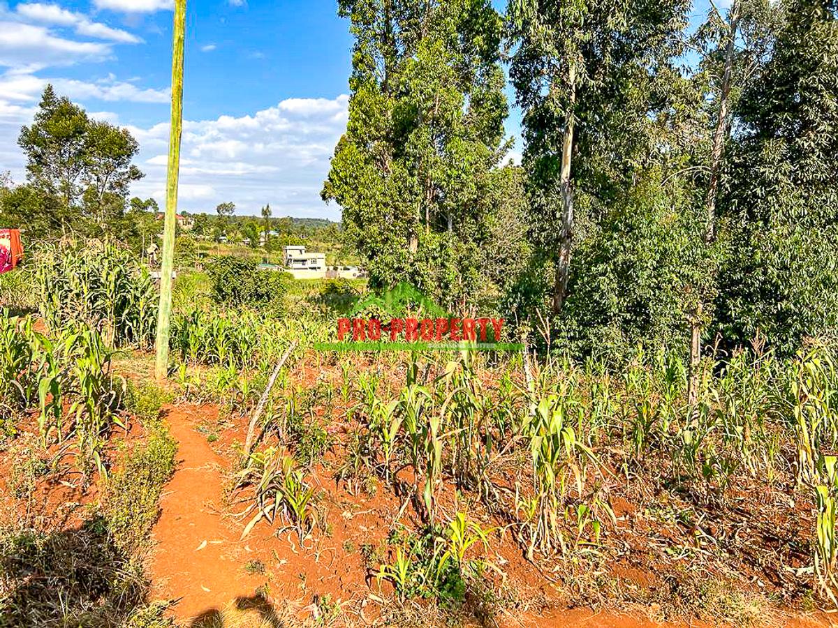 0.05 ha Residential Land at Gikambura - 11