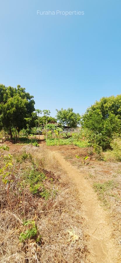 Land at Vipingo - 11