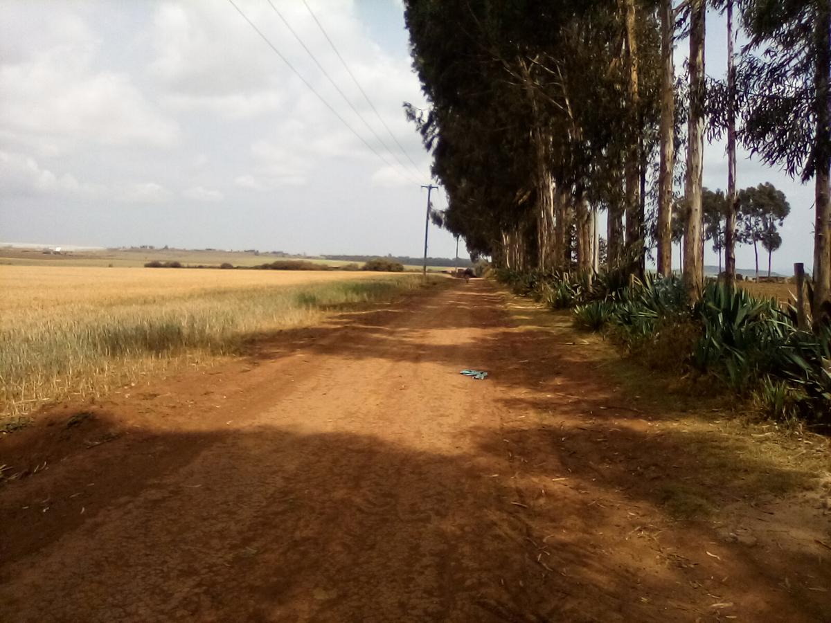 Land at Timau - 3