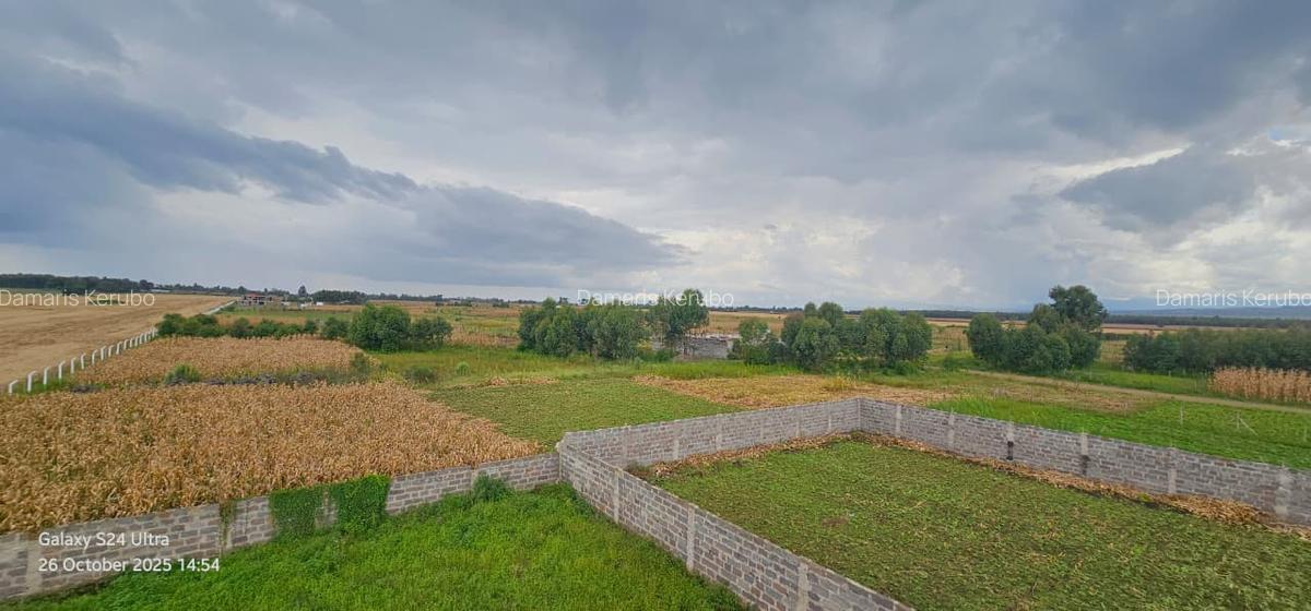 0.23 ac Land at Ngata - 6