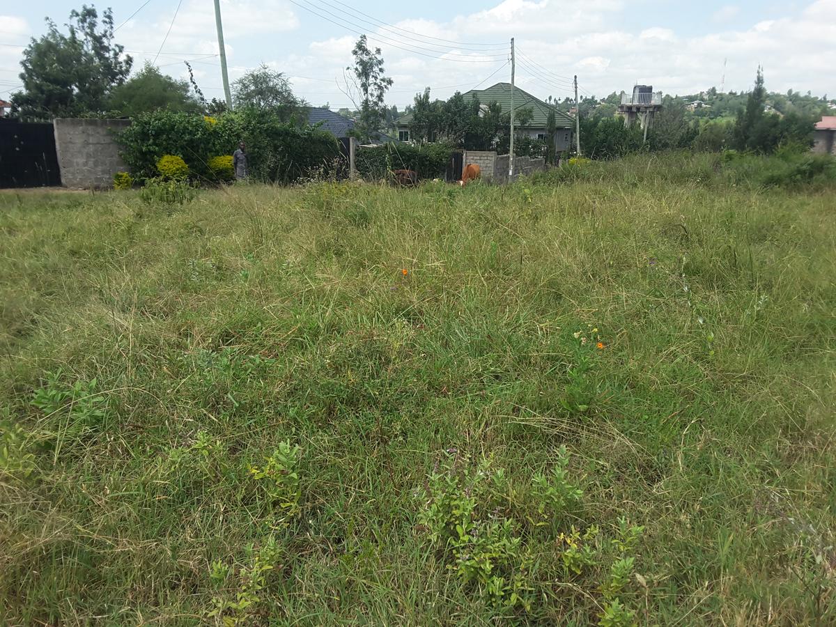 0.125 ac Residential Land in Ongata Rongai - 9