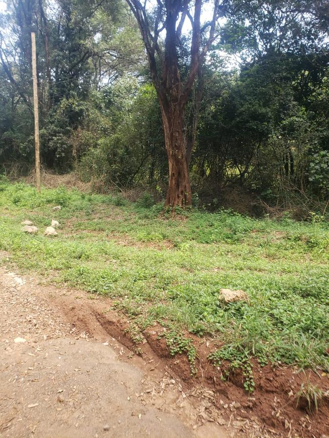 1.5 ac Land in Karen - 6