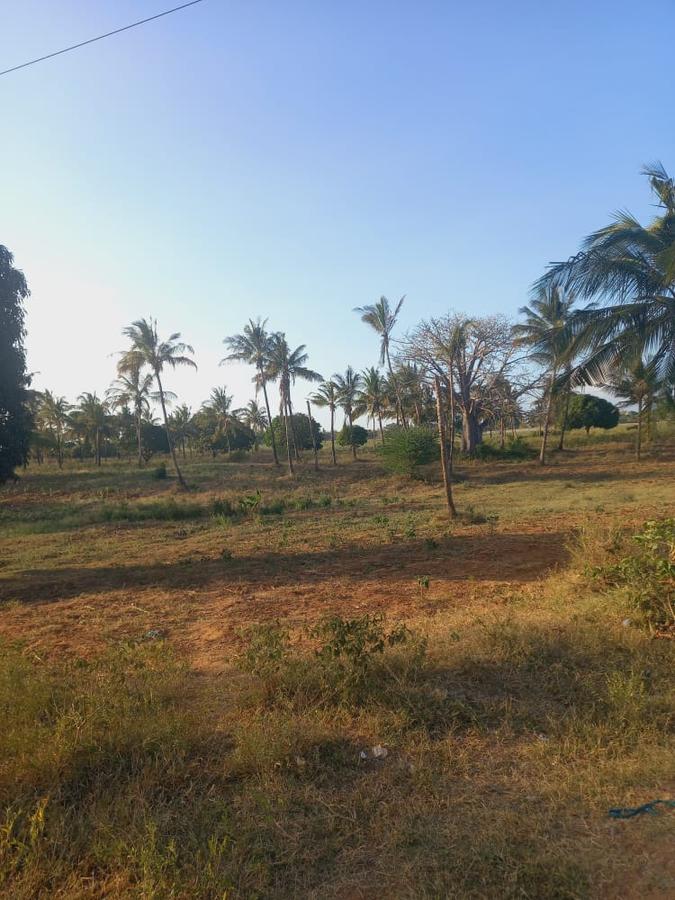 Land at Mavueni Kaloleni Road - 3