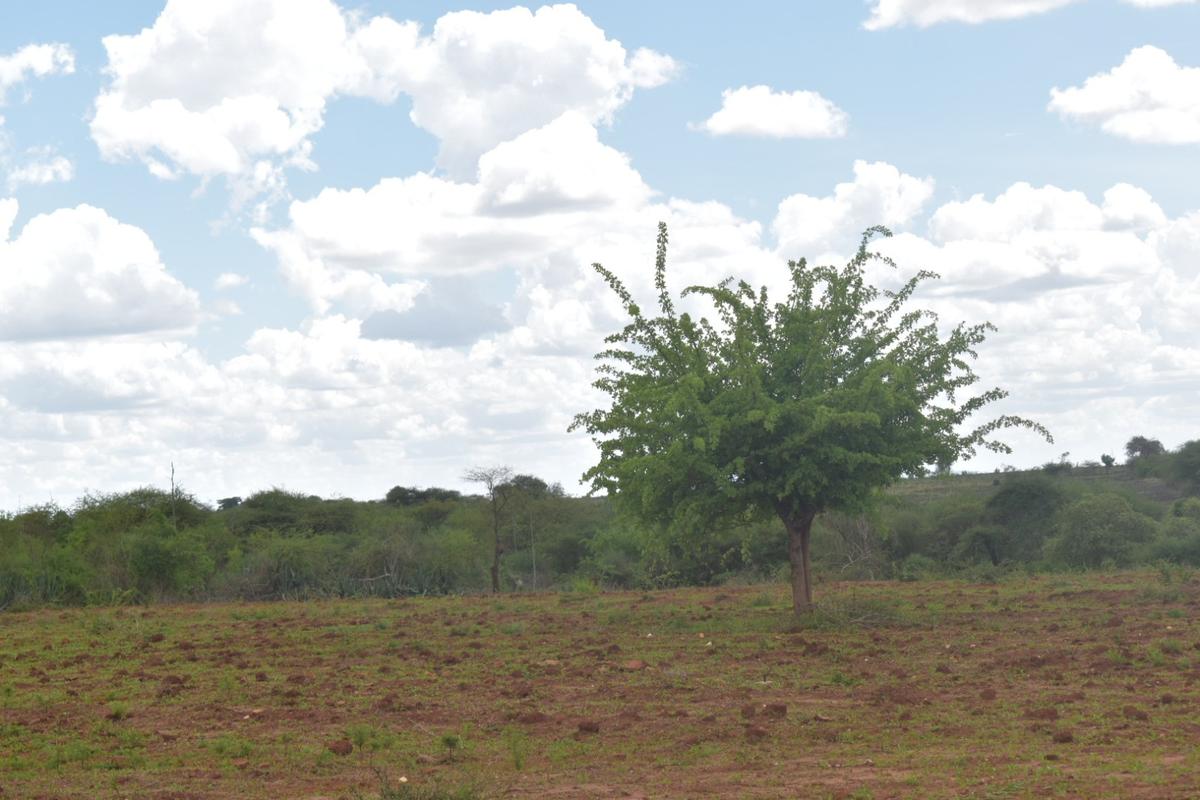 0.05 ha Land at Tumaini Estate - 4