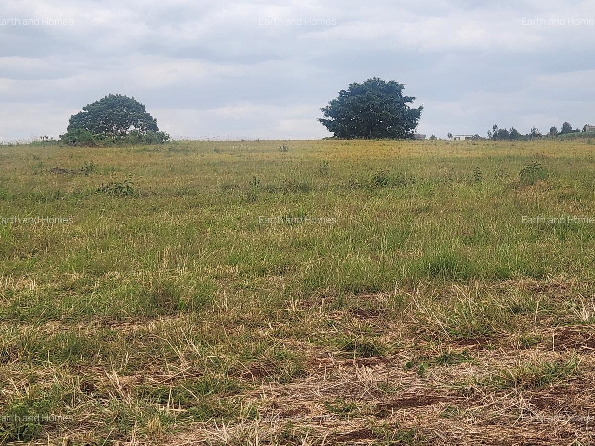 62 ac Land at Riabai - 1