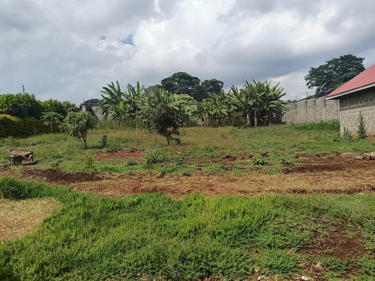 Commercial Land at Cianda - 10