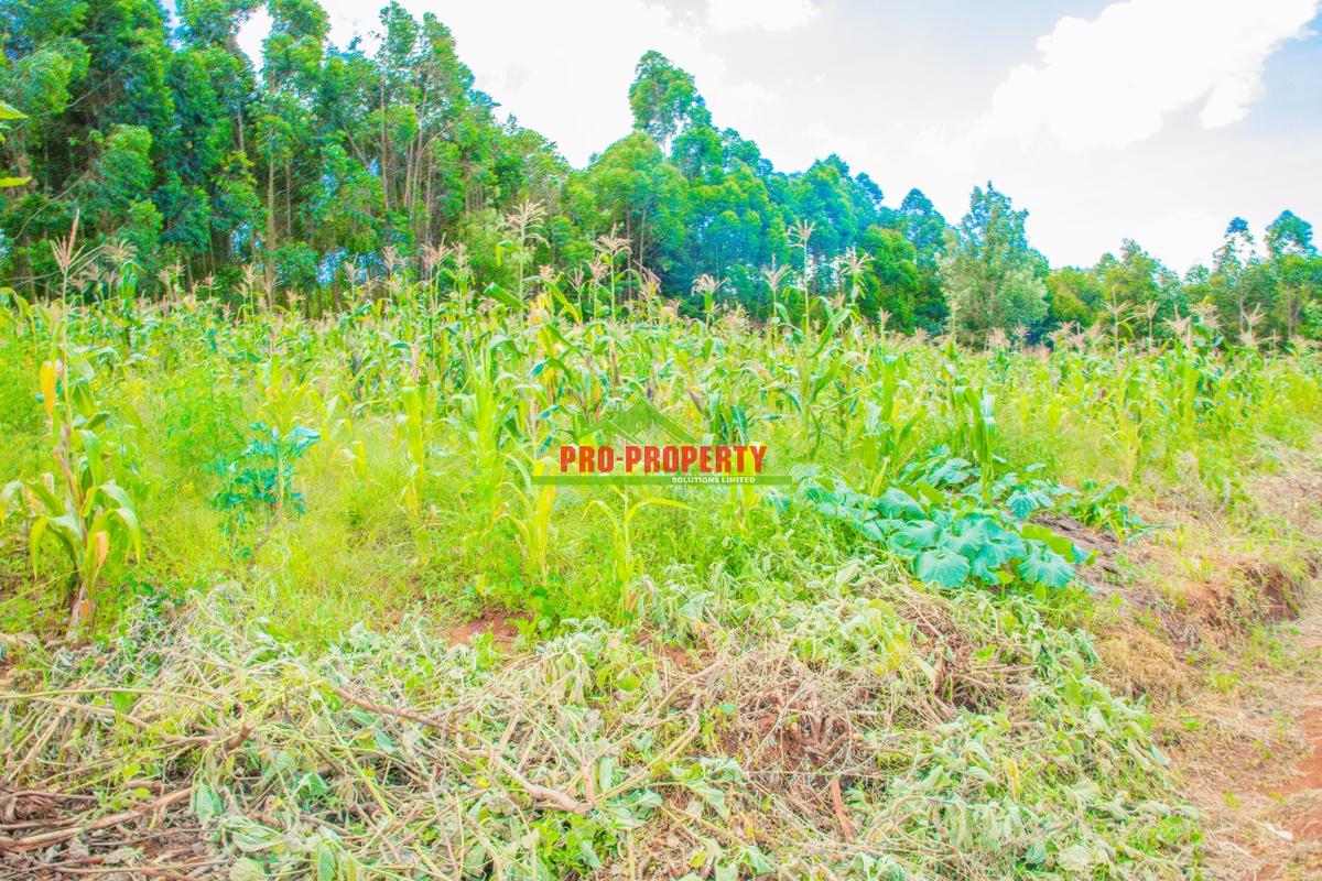 0.05 ha Residential Land at Gikambura - 9