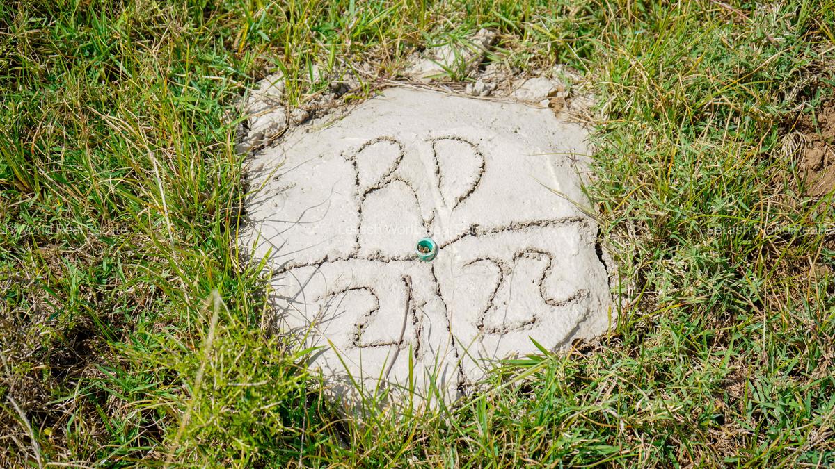 Residential Land in Naivasha - 3