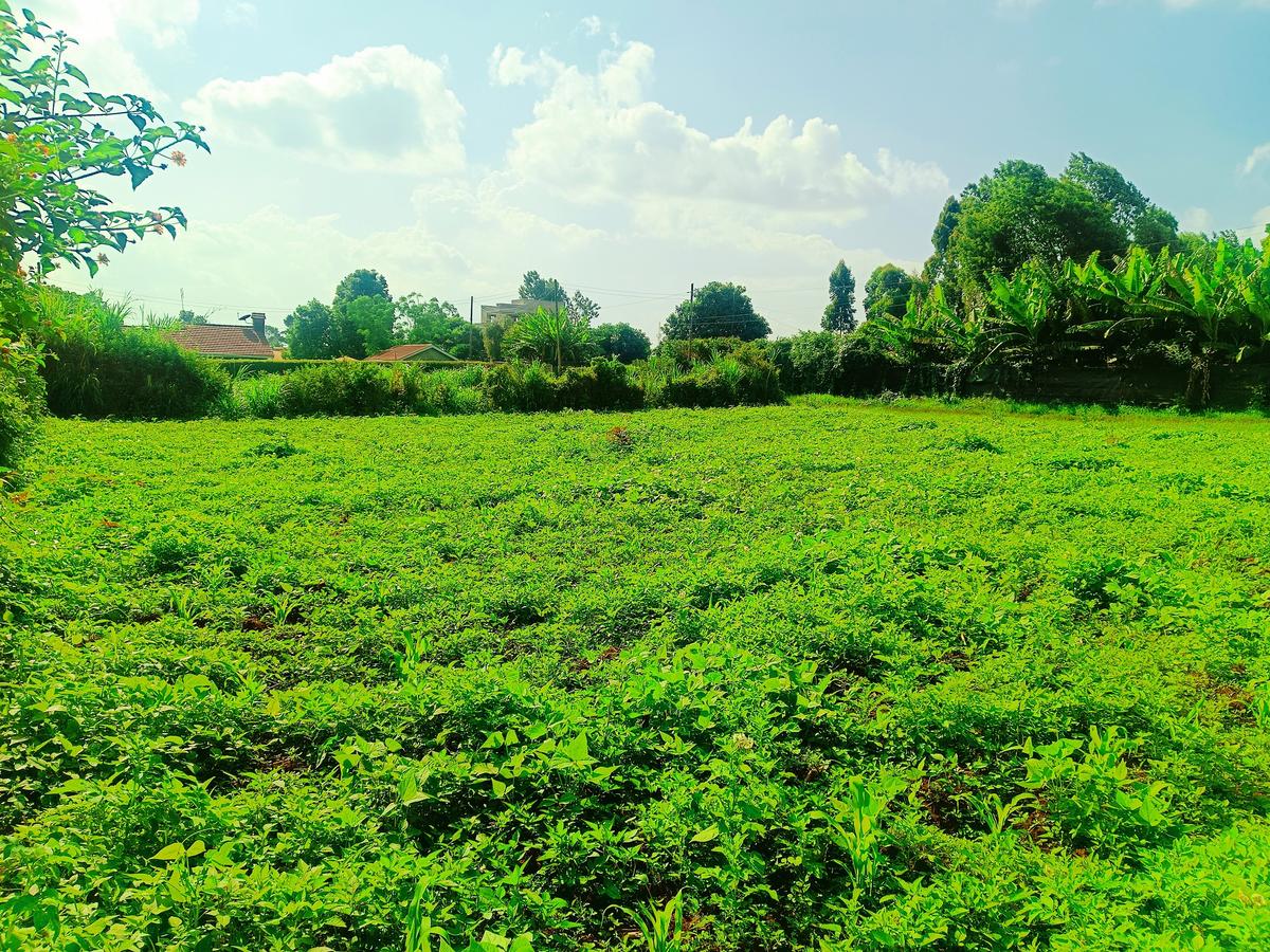 1,000 m² Residential Land at Ondiri - 3