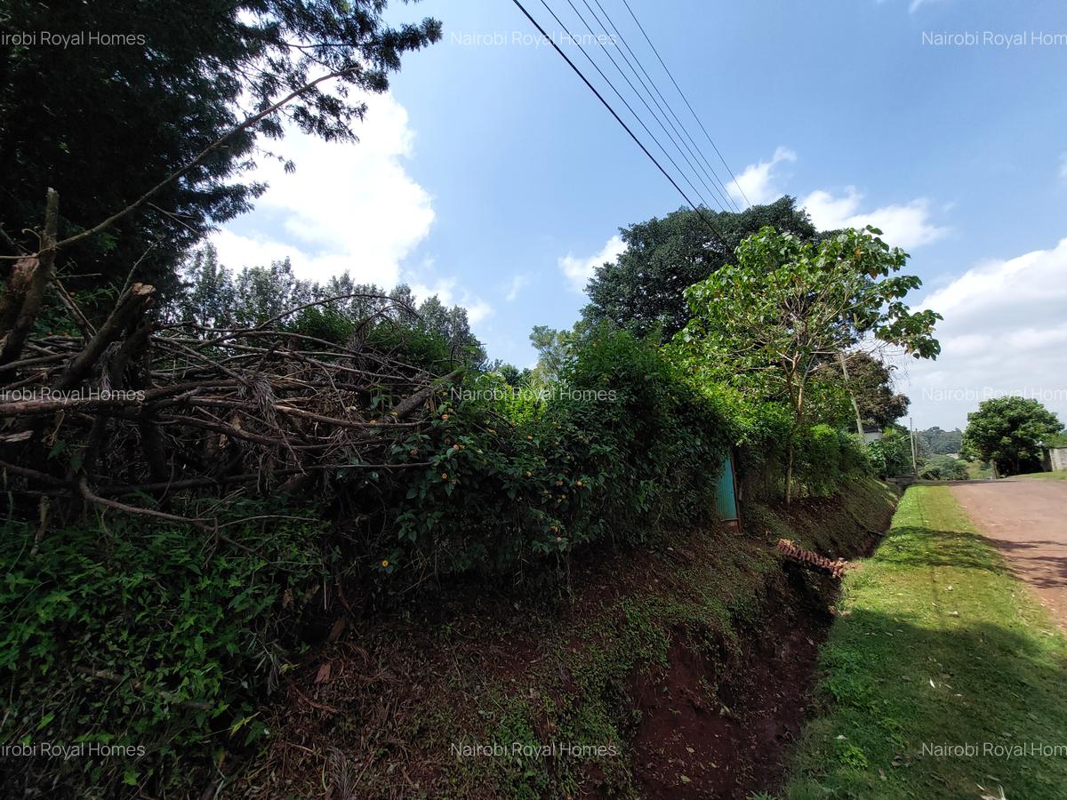 Residential Land at Kirawa Road - 16