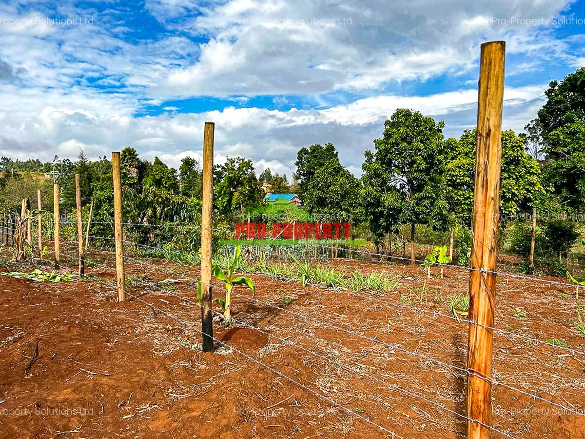 0.05 ha Residential Land in Kamangu - 14