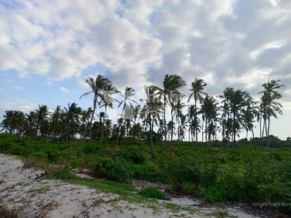 Land at Kikambala Beach - 6
