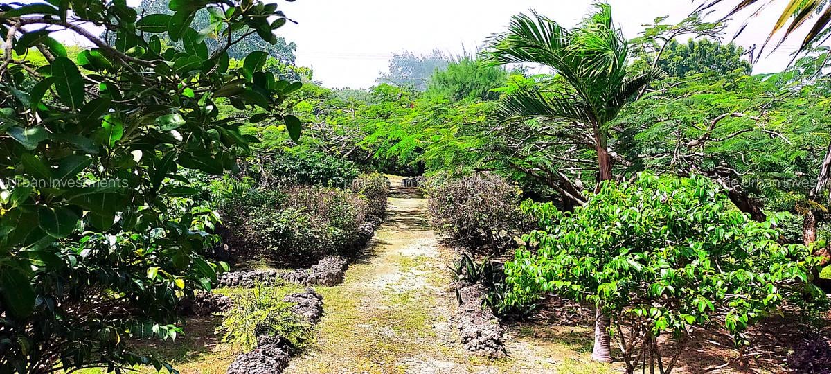 4 Bed House with En Suite at Kuruwitu Beach - 10