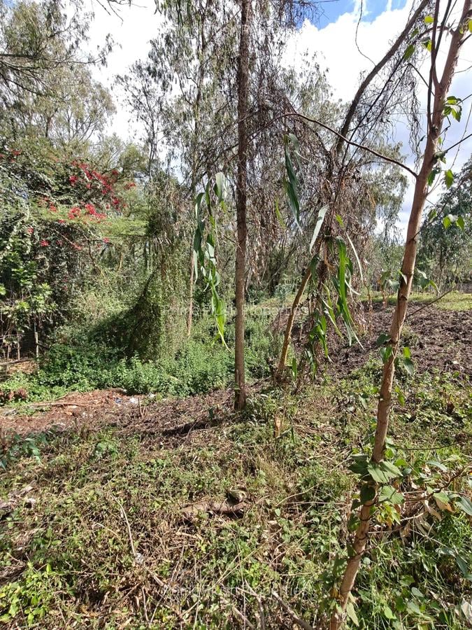 0.5 ac Land in Karen - 8