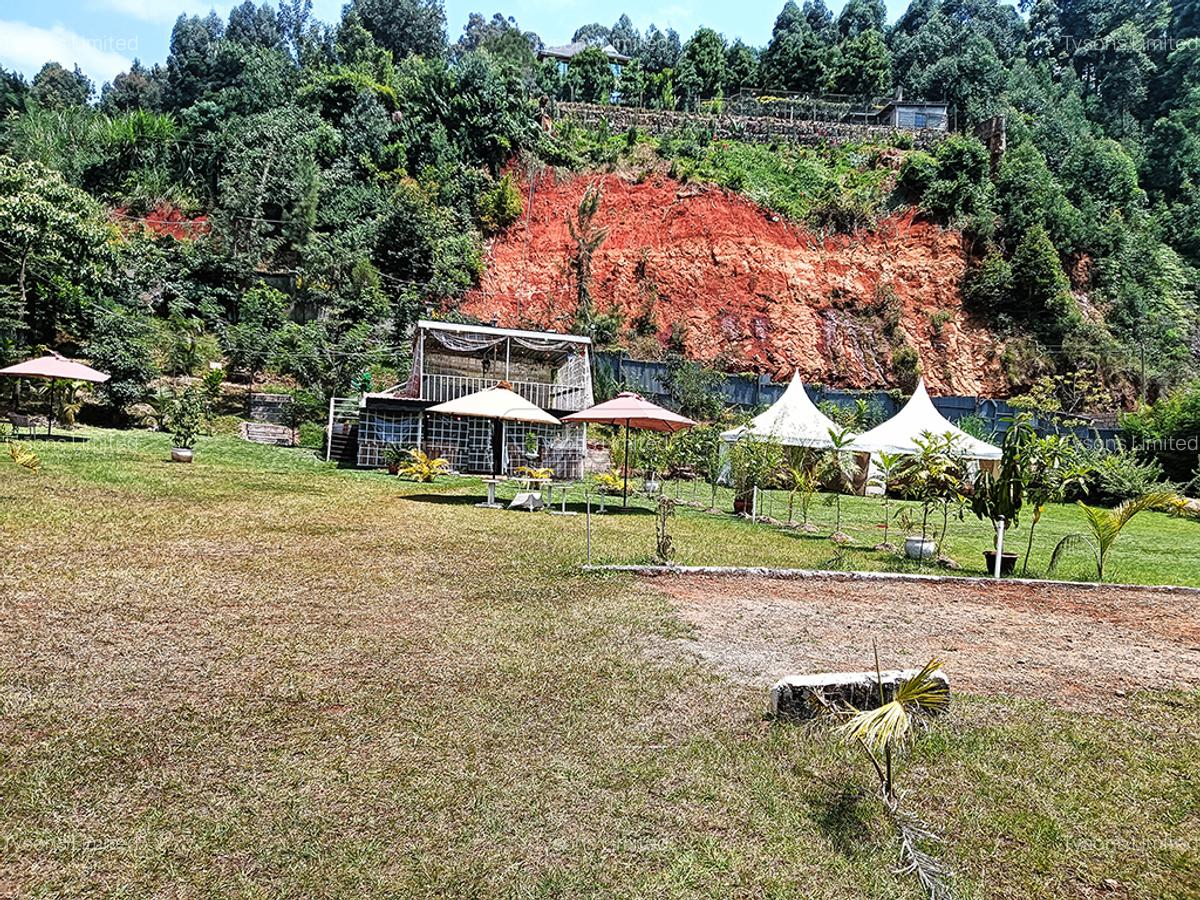 Commercial Property with Garden in Redhill - 3