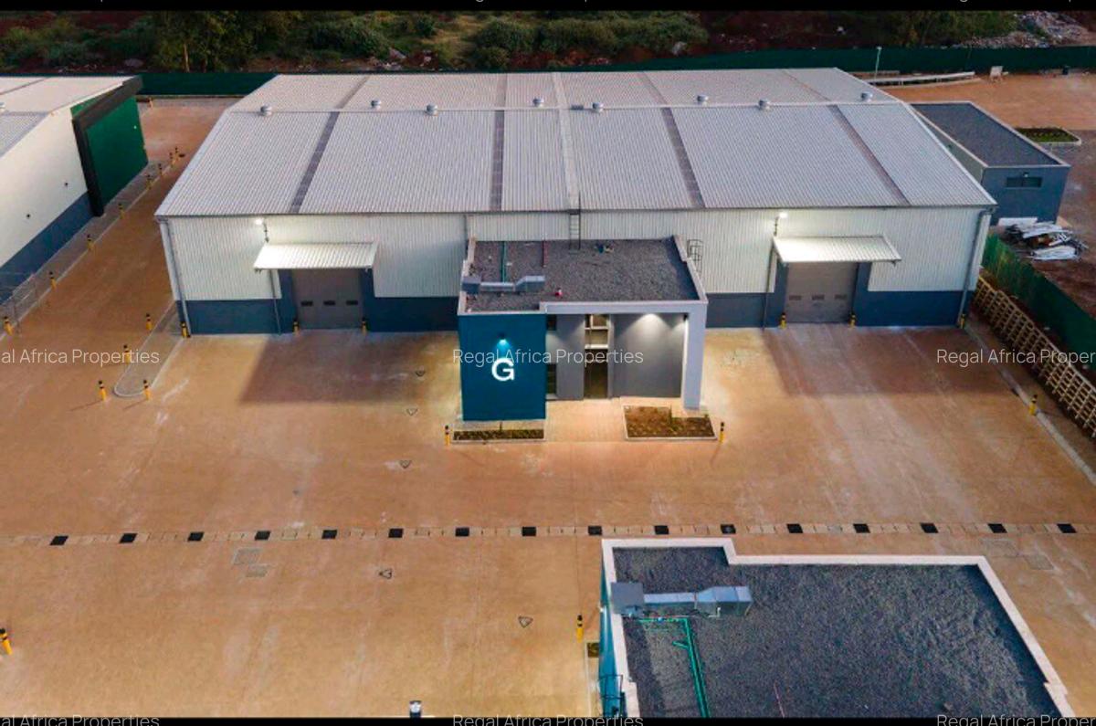 10,459 m² Warehouse with Backup Generator at Tilisi - 3