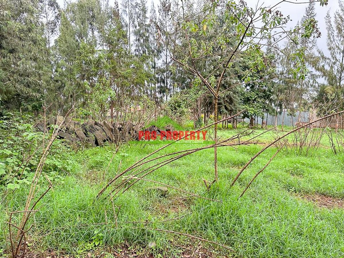 0.05 ha Commercial Land in Kikuyu Town - 3