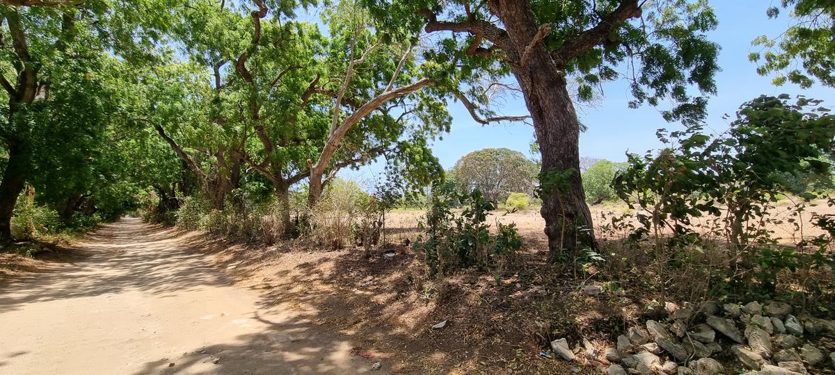 75 ac Land at Vipingo - 11