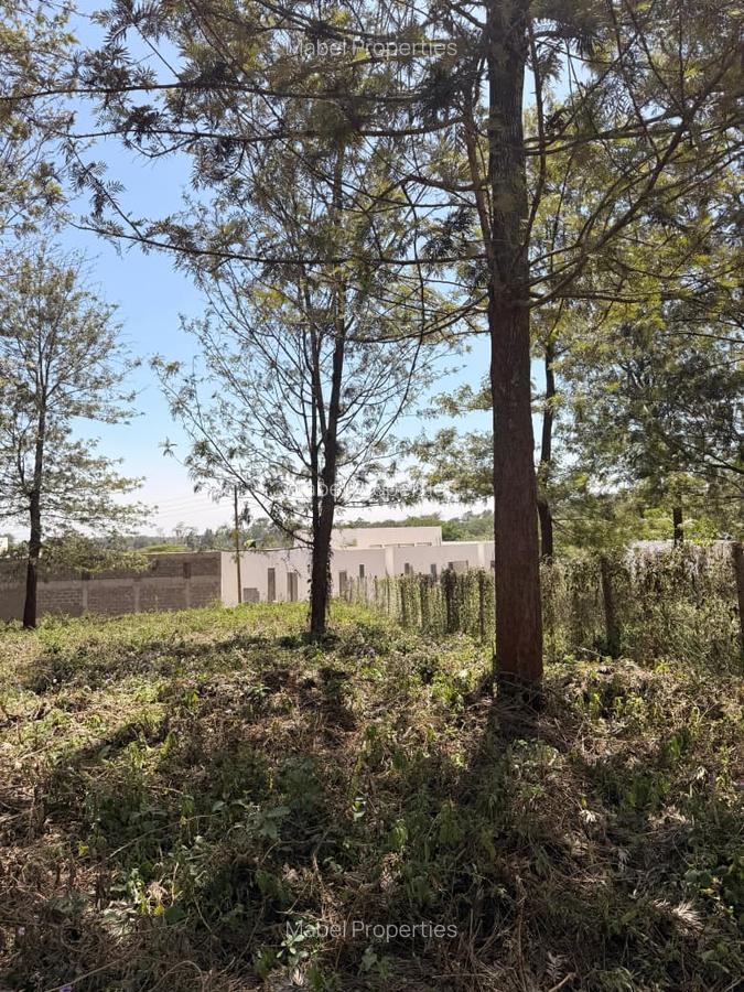 Residential Land in Ruiru - 1