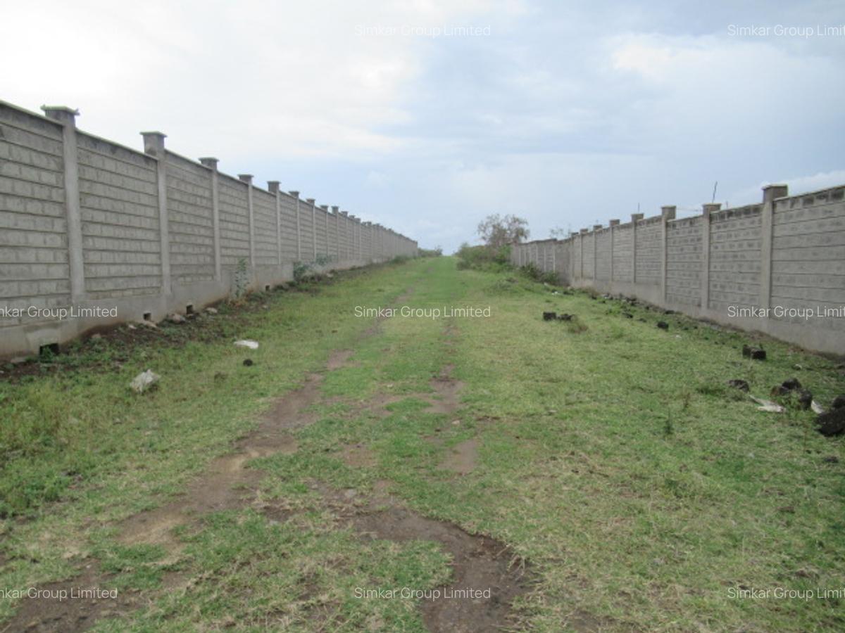 10 ac Land at Sabaki Rd - 2