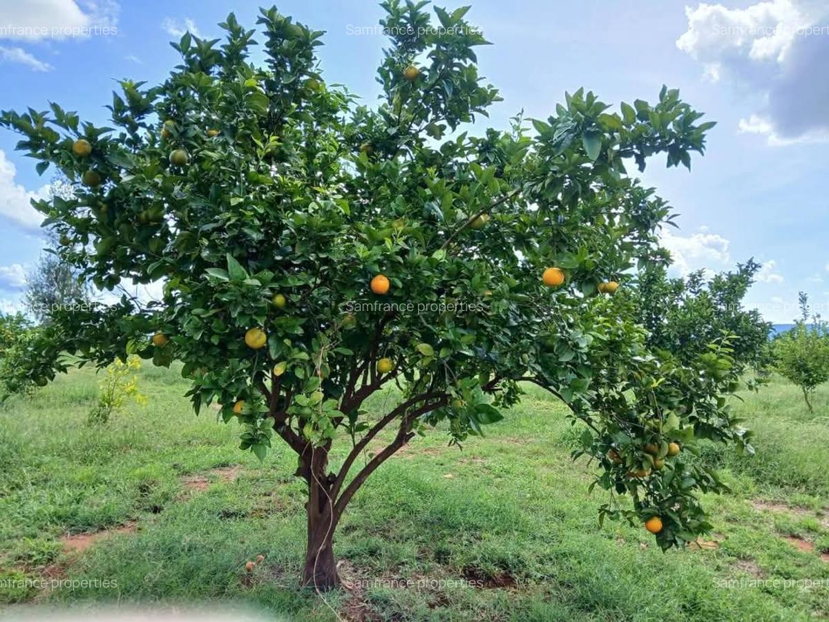 2,000 ac Commercial Land at Voi Mwatate - 2