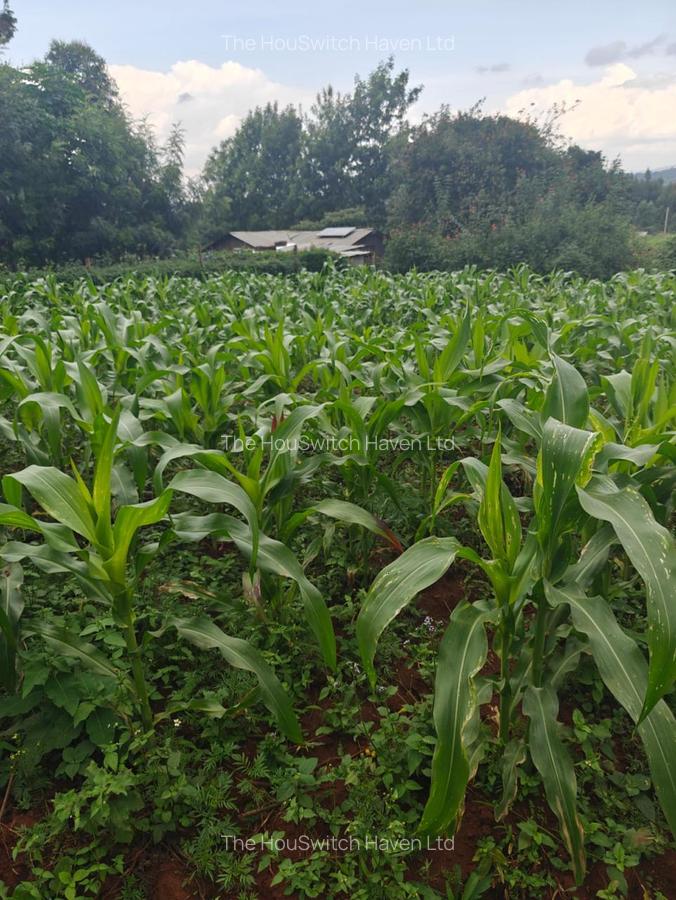 0.125 ac Land at Kamangu-Kikuyu Road - 2