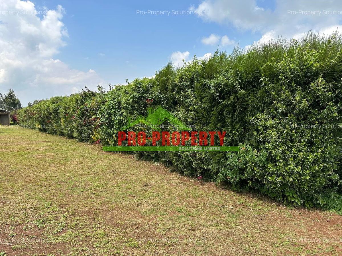 0.4 ha Land at Tilisi - 12