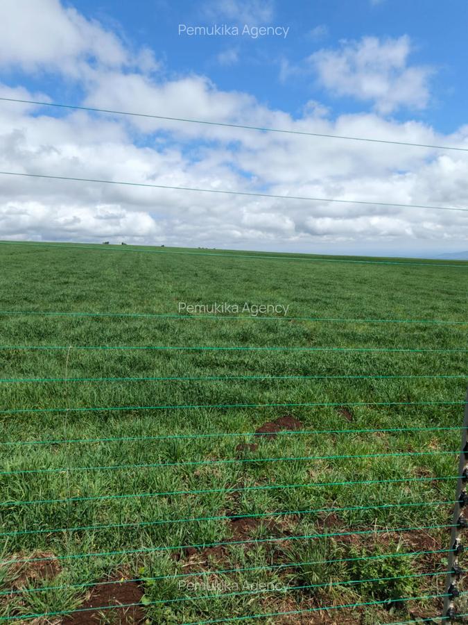 314 ac Land at Timau - 3