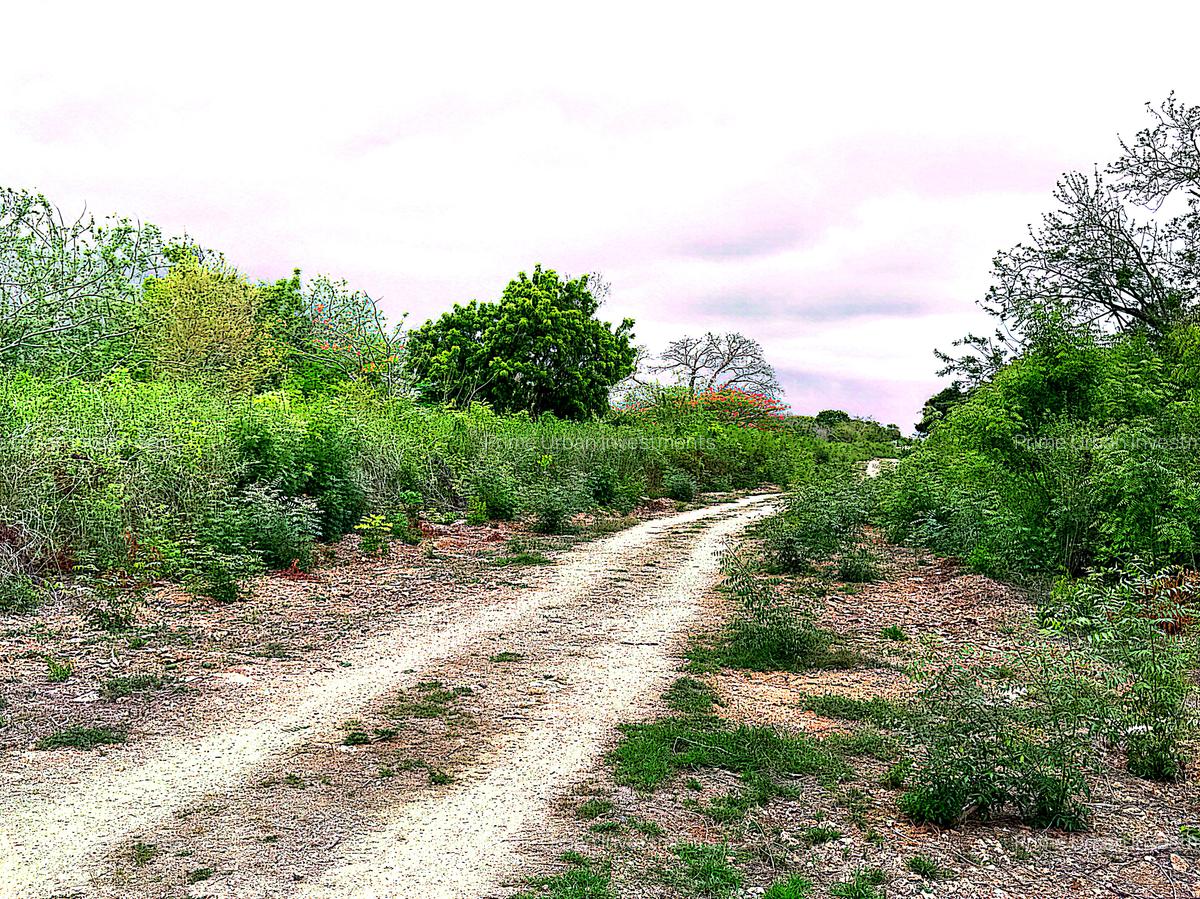 2,010 m² Residential Land at Second Row Kuruwitu Beach - 4