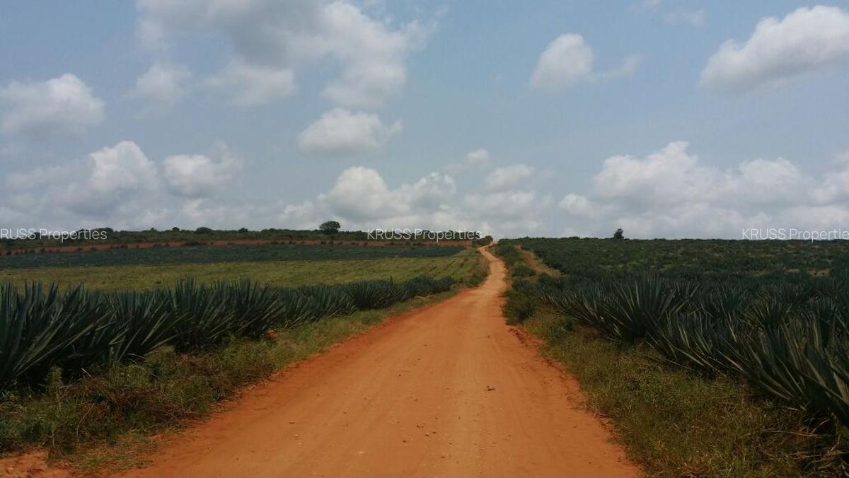 10 ac Land at Ls2295 - 4