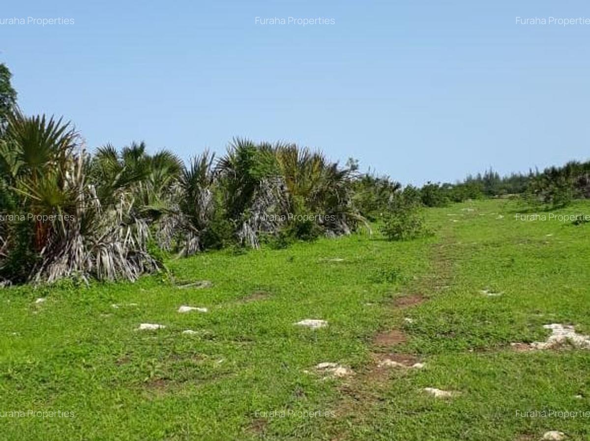 202,350 m² Land in Vipingo - 5