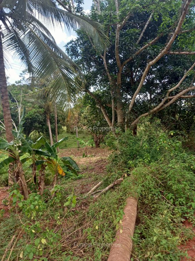 6 ac Land at Msambweni - 1