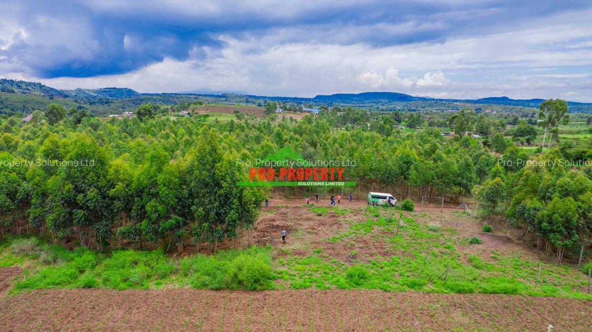 0.05 ha Residential Land at Nduiguine - 11