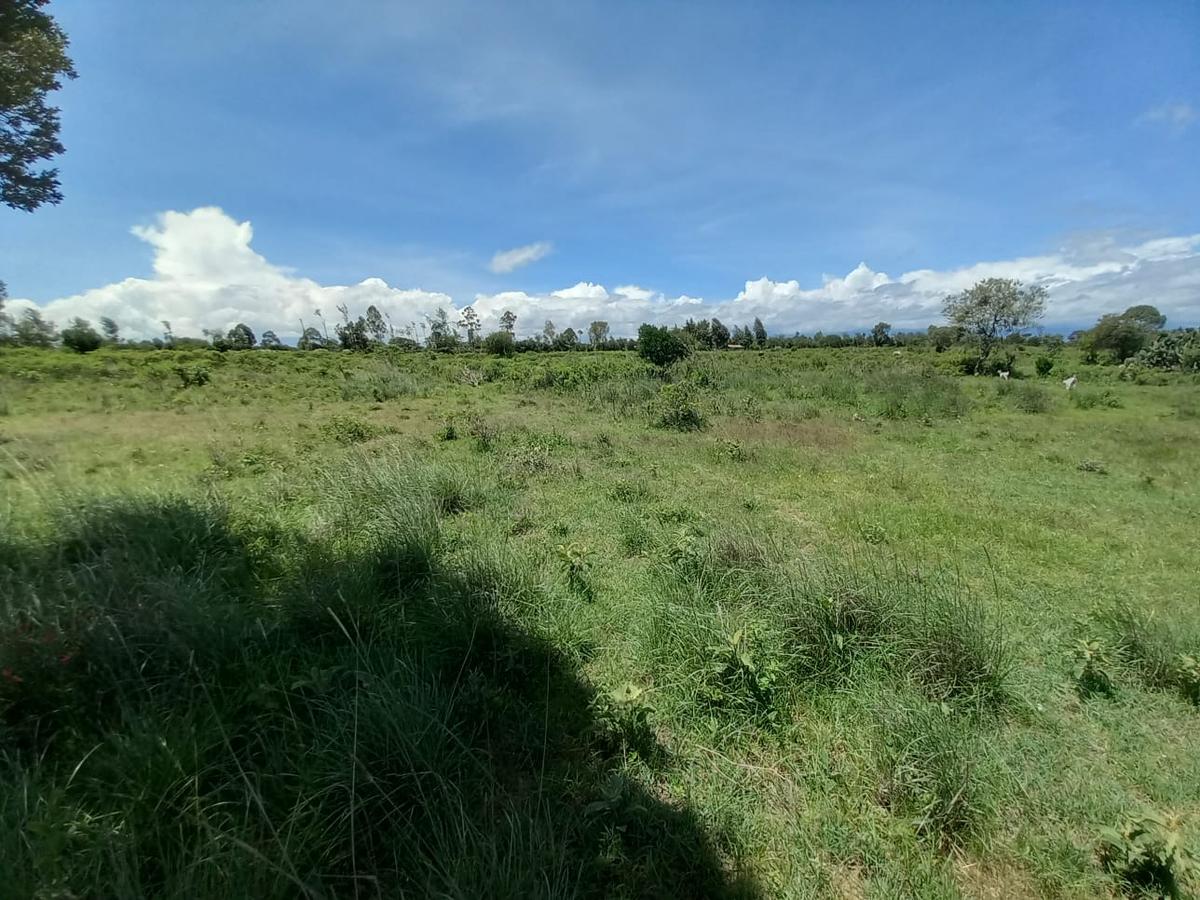 5 ac Land at Burguret - 7