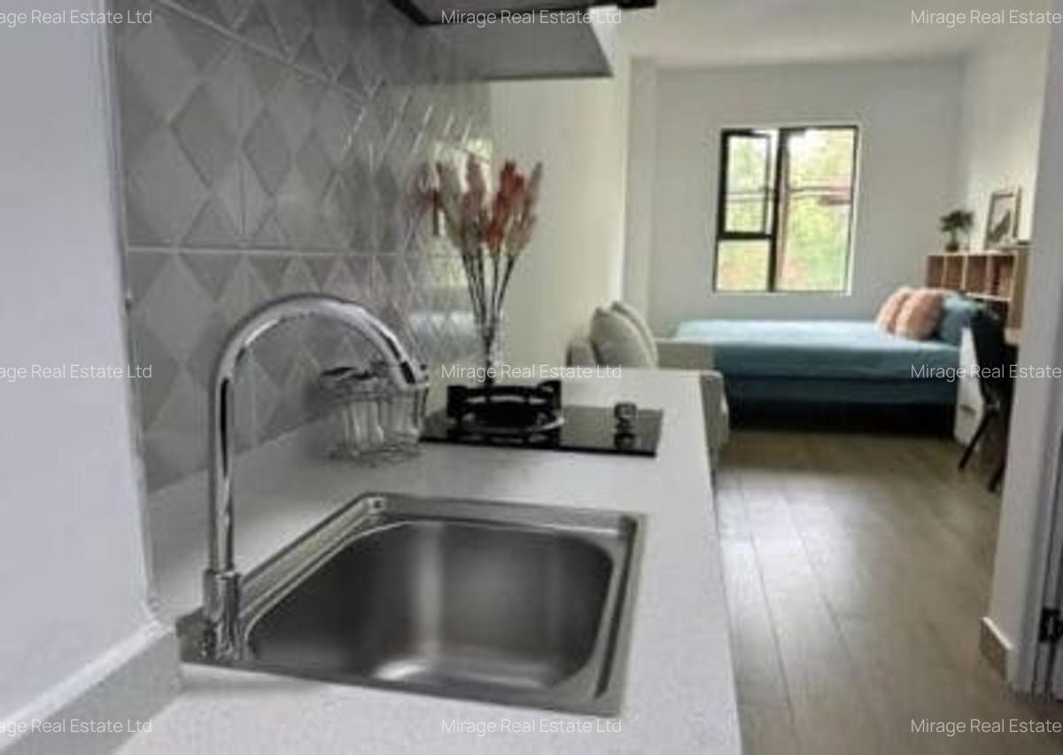 Furnished Studio Apartment with Gym in Juja - 19