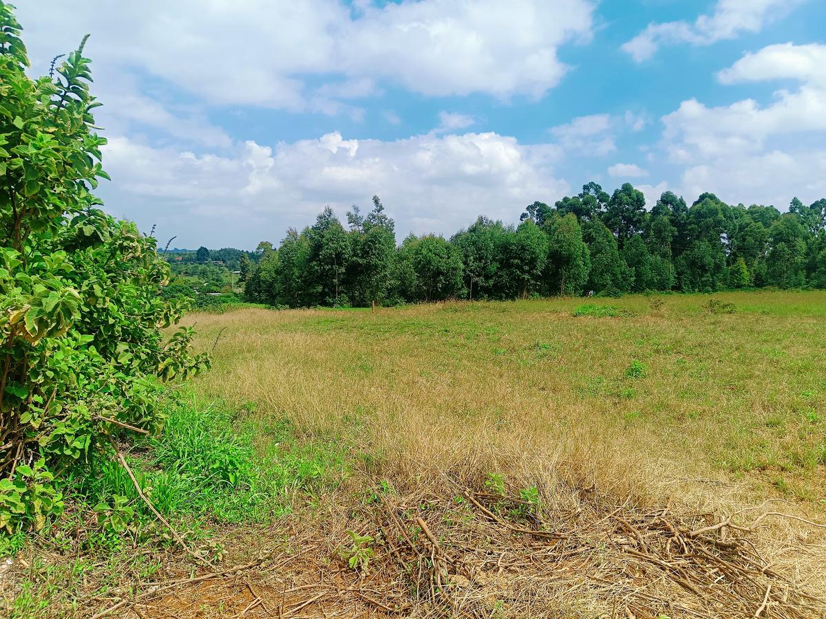 500 m² Residential Land at Thigio - 4