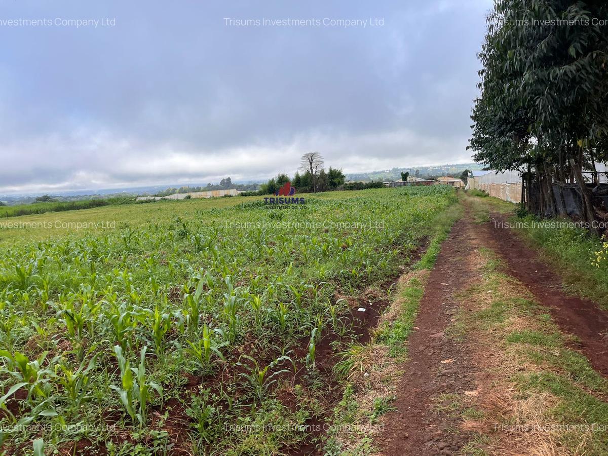 3.7 ac Land at Kiambu - 8