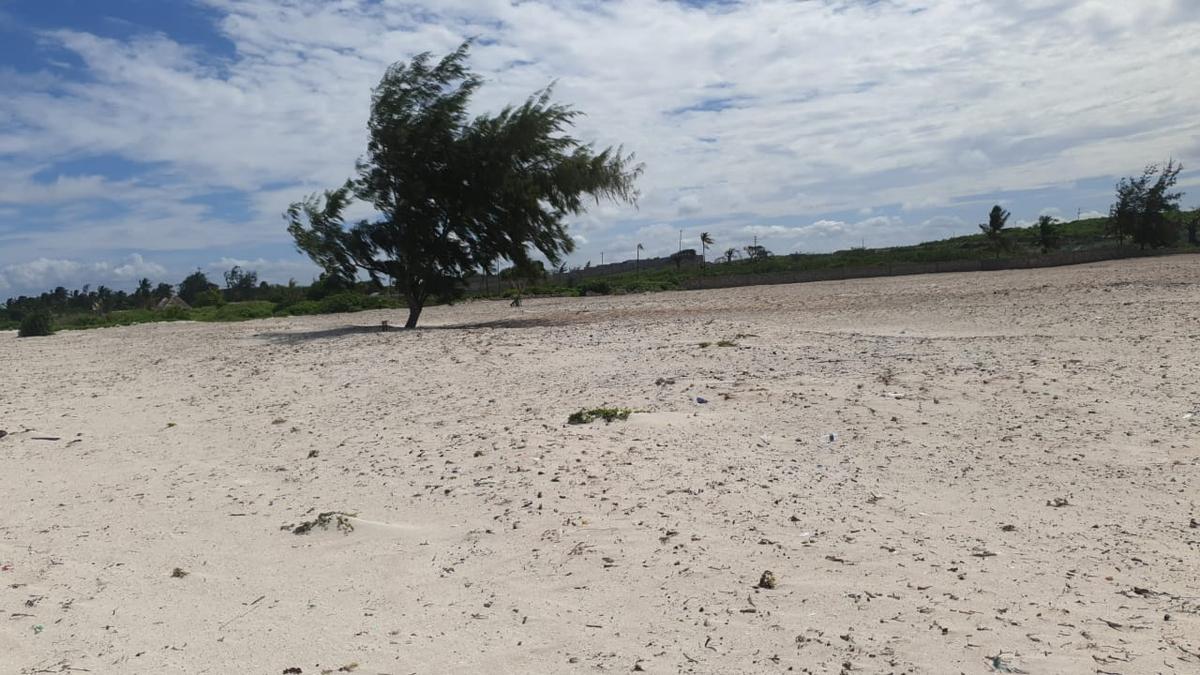 6 ac Residential Land at Jacaranda Watamu - 3