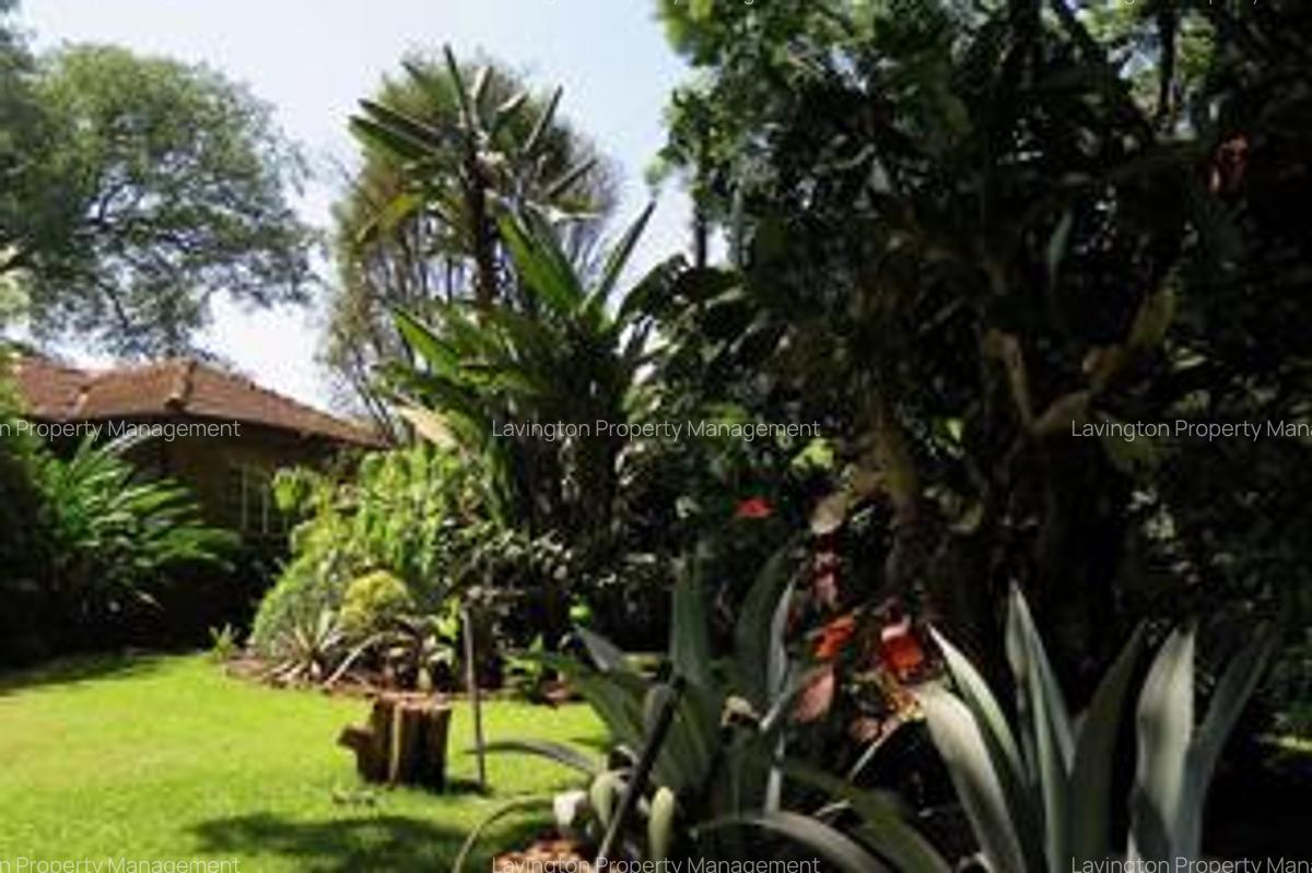 0.78 ac Land at Chalbi Drive - 10