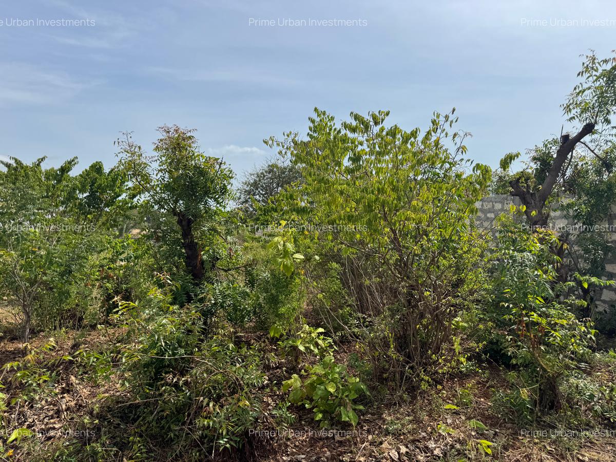 Land in Kilifi - 8