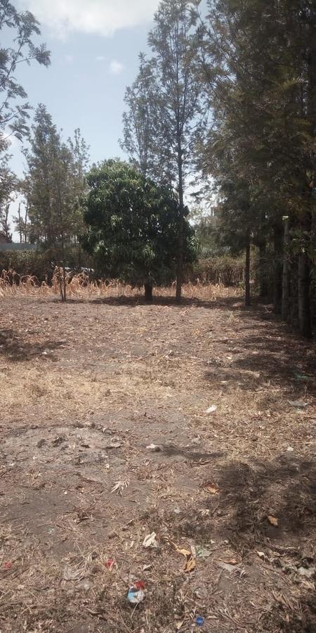 0.25 ac Commercial Land at Githurai - 15