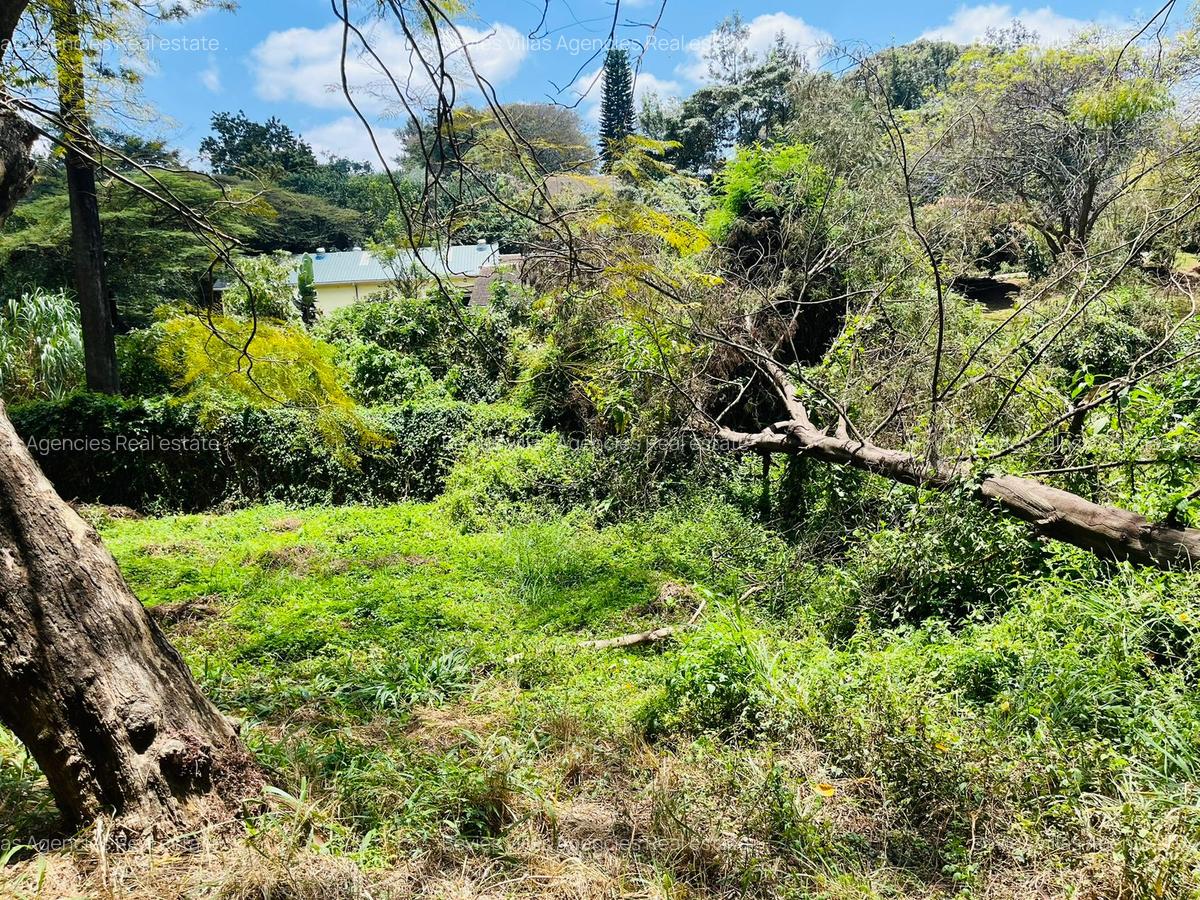 Commercial Property with Fibre Internet at Kilimani - 4