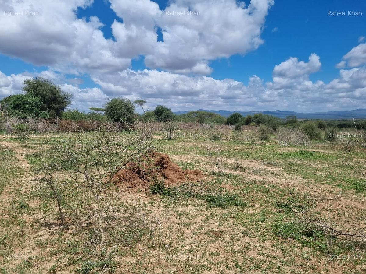 14 ac Land in Bisil - 4