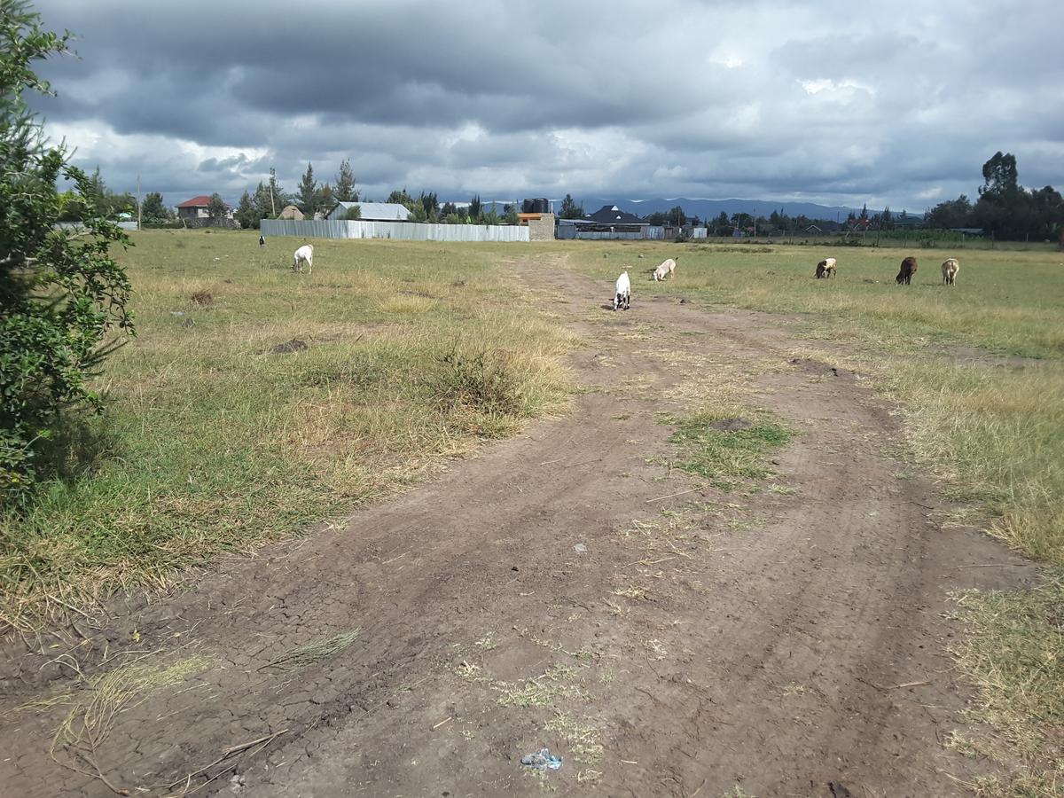 1 ac Residential Land in Ongata Rongai - 4