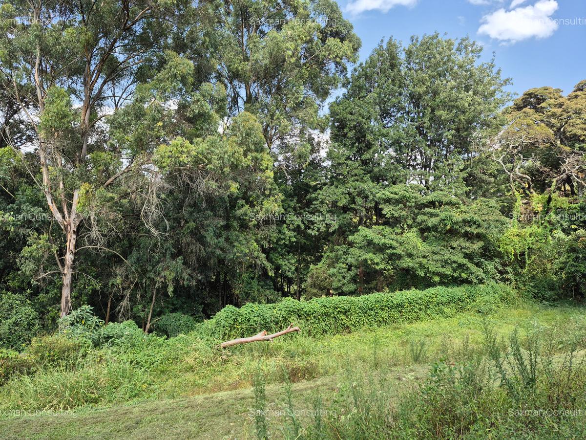 Land in Muthaiga - 2