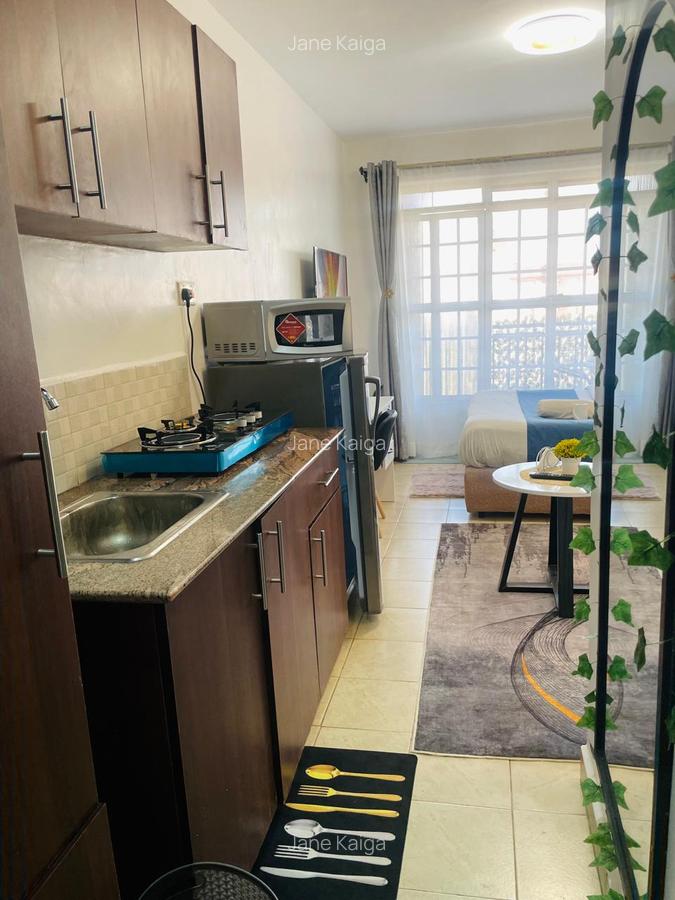 Serviced Studio Apartment with En Suite at Ruaka - 4