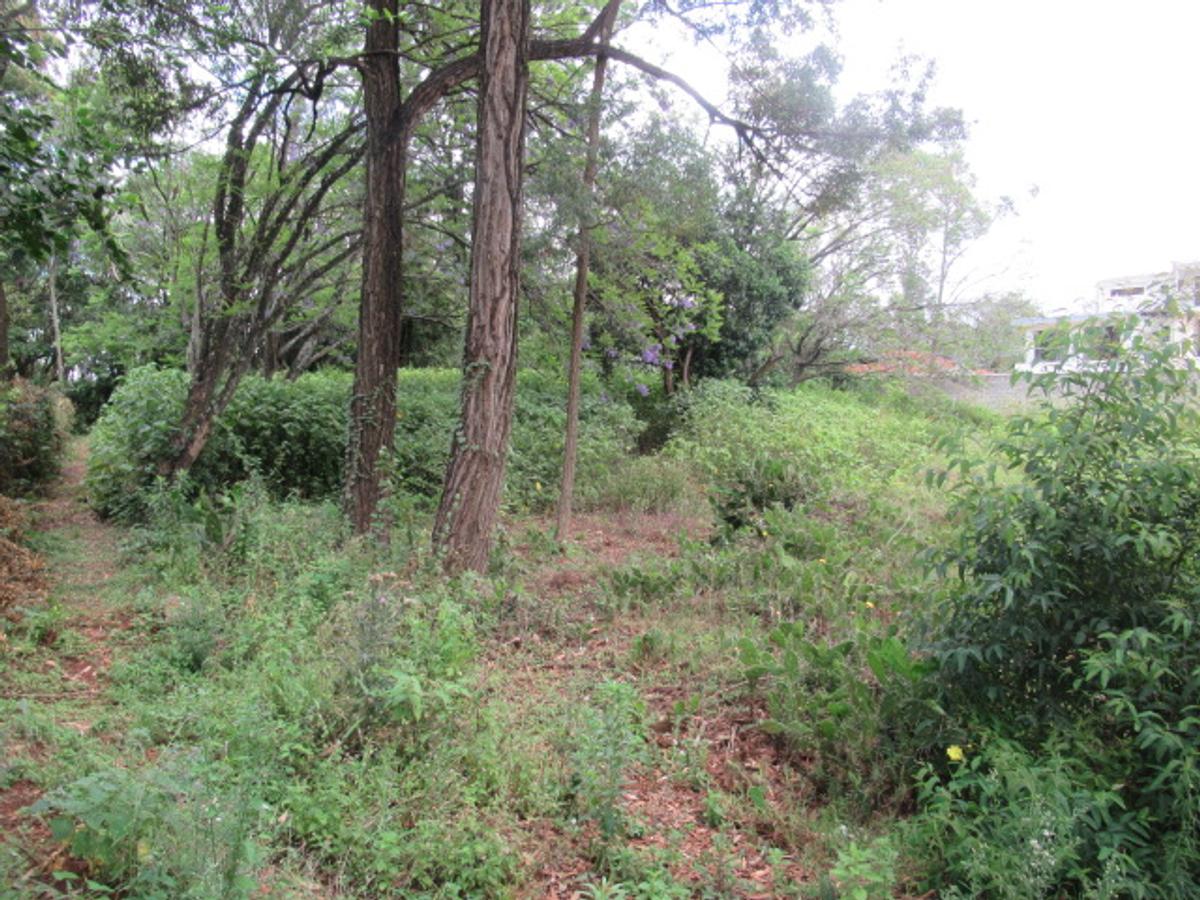 Land at Bogani Rd - 2