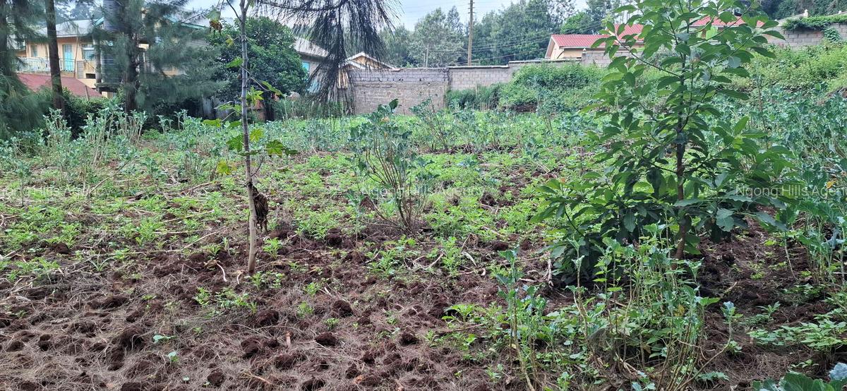 Commercial Land in Ngong - 11