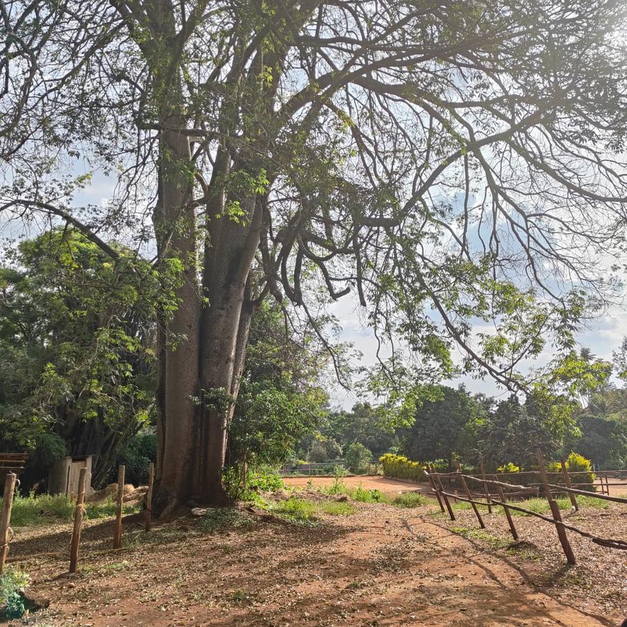 2.5 ac Residential Land at Old Kitisuru - 1